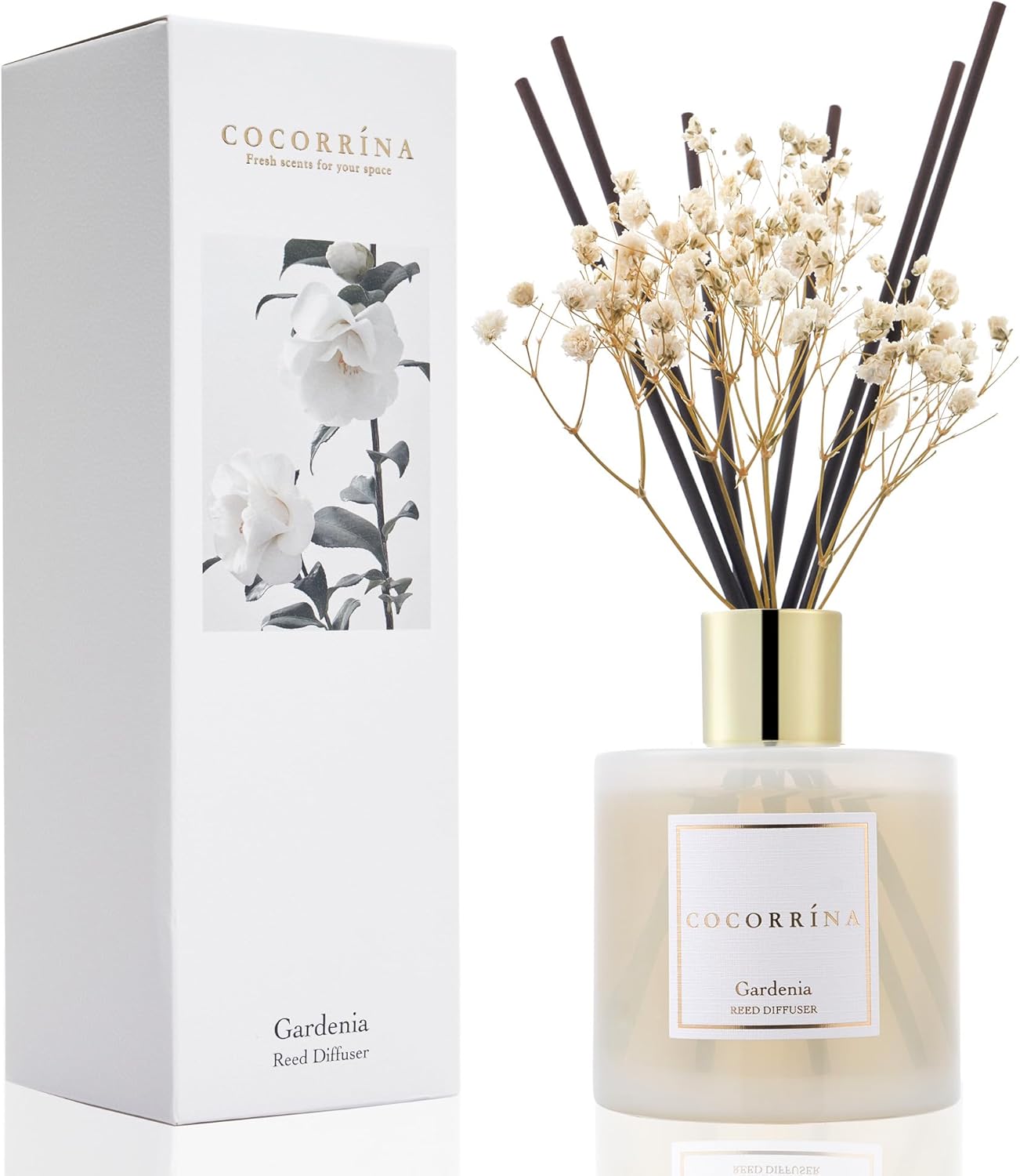 Cocorrína Premium Reed Diffuser Set with Preserved Babys Breath  Cotton Stick Sandalwood Rose | 6.7oz Scent Fragrance Oil Diffuser for Bedroom Bathroom Home Décor