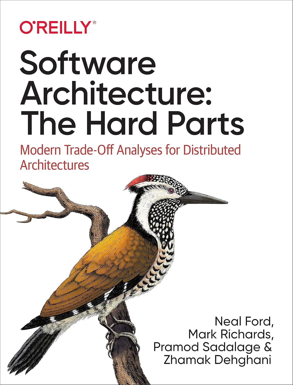 Software Architecture: The Hard Parts: Modern Trade-Off Analyses for Distributed Architectures      1st Edition