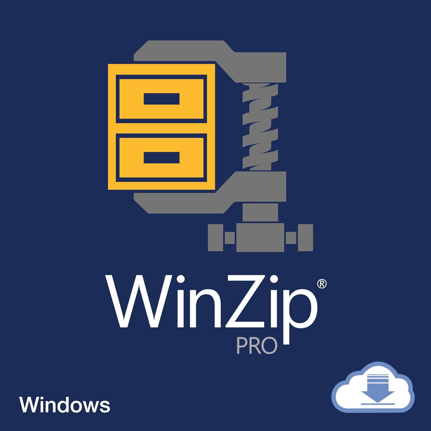 WinZip 29 Pro | File Management, Encryption, Compression  Backup Software [PC Download]